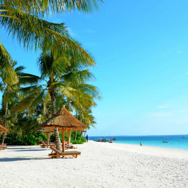 Encahnting beach and safari holiday with our 11-day Tanzania safari and Zanzibar beach relaxation