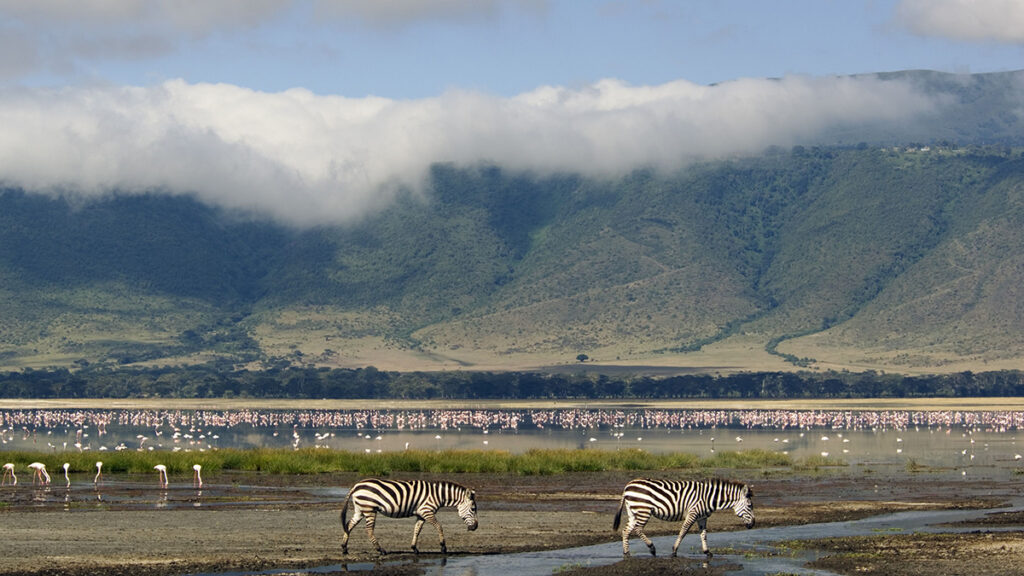 Spotting wildlife at the floor of Ngorongoro Crater
