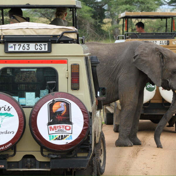 On a game drive spotting wildlife