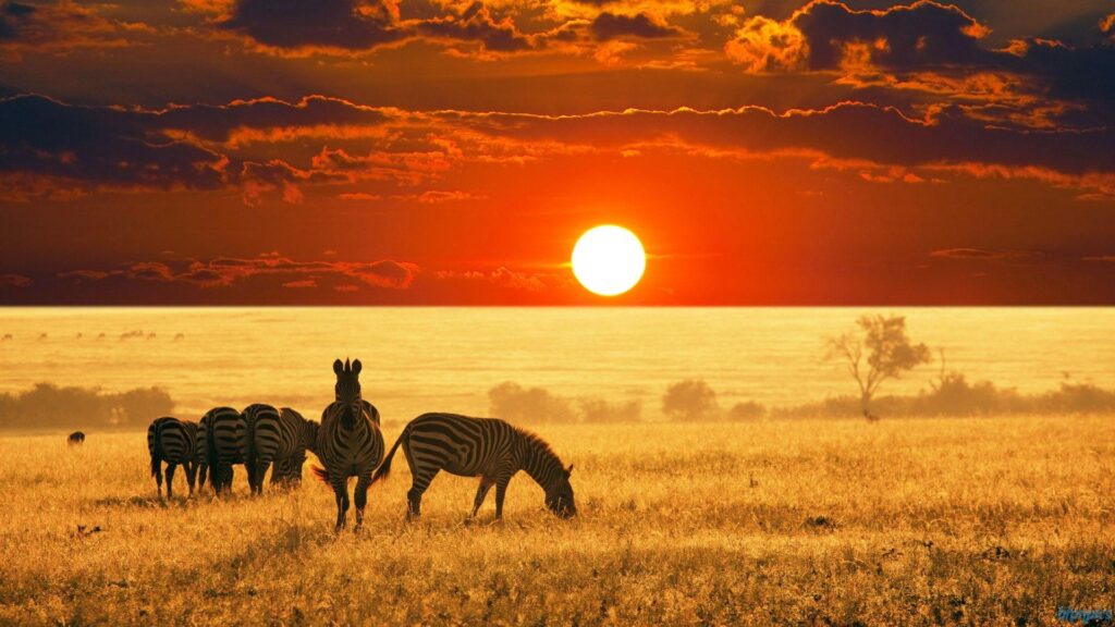 9-Day Kenya Safari