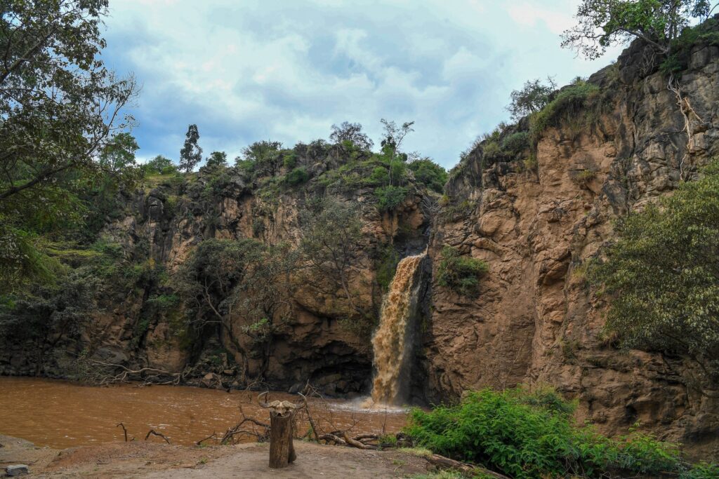 Lake Nakuru & Masai Mara Safari
